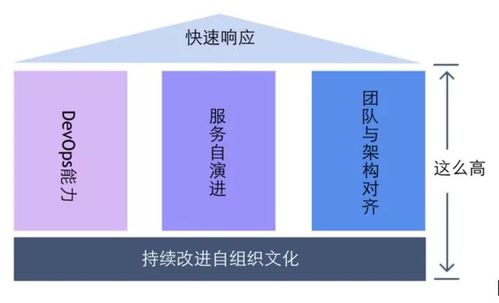 阿里资深架构师视角 数字化转型的新时代技术底座与项目策划服务革新